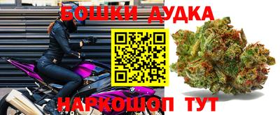 гидра Бузулук