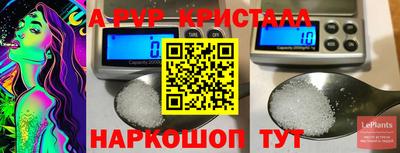 бошки Будённовск