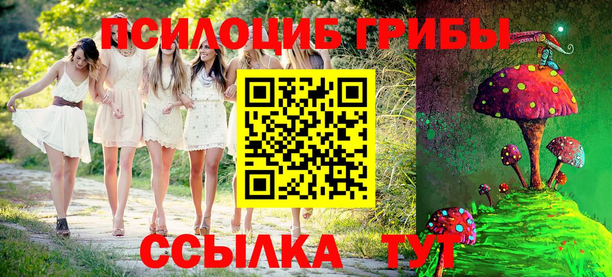 Бирск  Псилоцибиновые грибы мухоморы  Псилоцибиновые грибы мухоморы  Вход с VPN 